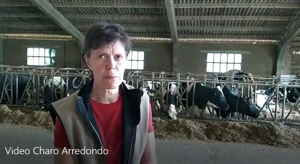 Covid-19: Inlac agradece el trabajo de miles de profesionales del sector lácteo