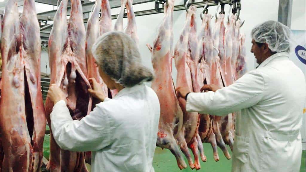 Ya pueden solicitarse ayudas al almacenamiento privado de carnes de ovino, caprino y vacuno y de lácteos