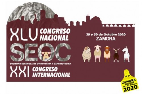 SEOC sigue preparando el XLV Congreso Nacional y XXI Internacional