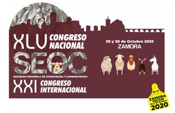 SEOC sigue preparando el XLV Congreso Nacional y XXI Internacional