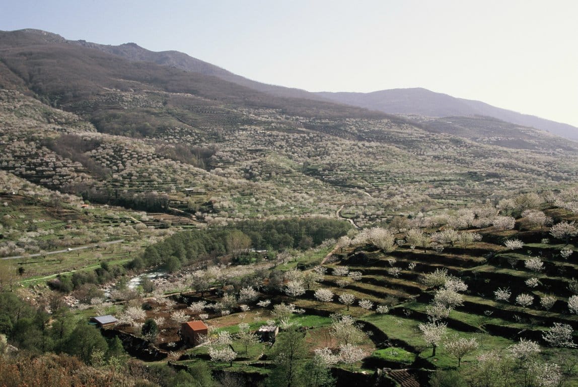 ¿Cómo incidirá en el sector agrario y el medio rural la Estrategia «Biodiversidad Horizonte 2030»?