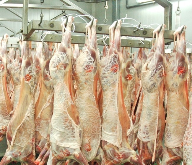 El sector ovino español es el único de la UE que pide ayuda para almacenar 125 toneladas de carne