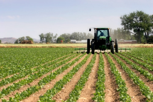 ASAJA acusa a la CE de ceder a presiones ecologistas y poner en riesgo la seguridad alimentaria de la UE