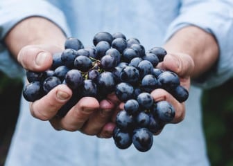 Climed Fruit: adaptación al cambio climático y diversificación de los procesos de la cadena de suministro alimentaria
