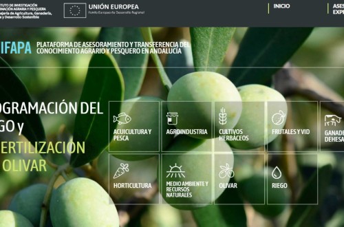 Servifapa cumple 10 años situándose como plataforma de transferencia de conocimiento de referencia