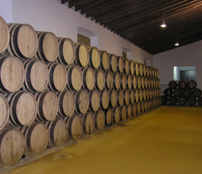 Covid-19: el Gobierno destina 90,5 M€ del PASVE a medidas extraordinarias para el sector vitivinícola