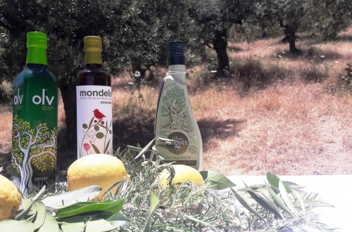 El aceite ecológico Mondelia de Hacienda Bolonia, premio especial Ecotrama 2020