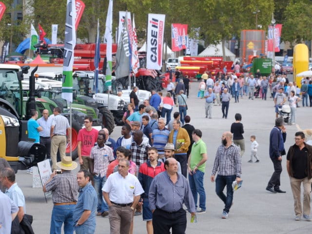 La feria de Sant Miquel y Eurofruit superan el 75% de ocupación