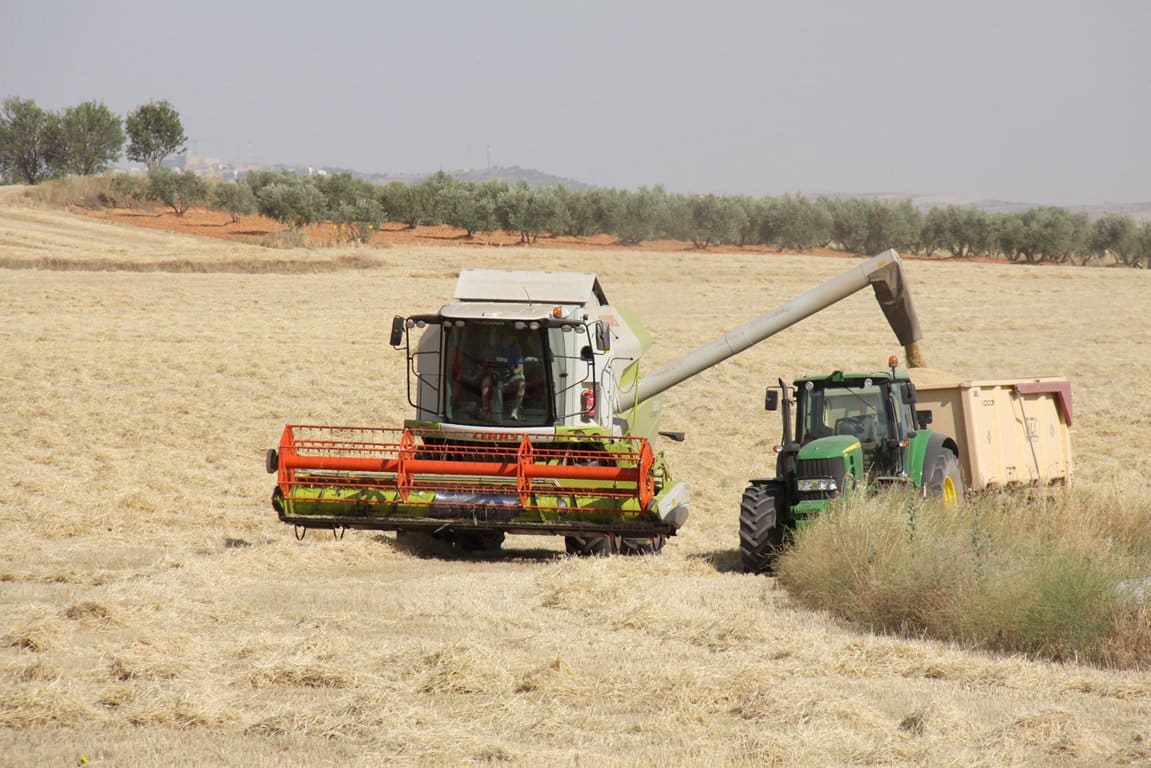 El COPA-Cogeca prevé menos trigo y colza en la UE-28 y bajos ingresos para los productores