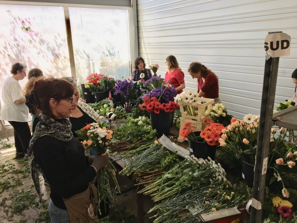 Asociaciones de la flor cortada y planta ornamental de 10 CC.AA. demandan ayudas urgentes al Gobierno y a la CE