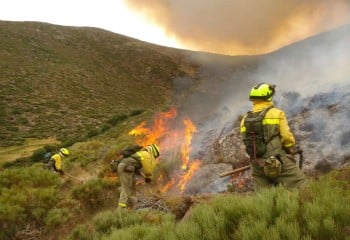 Asaja denuncia que nueve grandes incendios de Extremadura quedan fuera de las ayudas del Gobierno
