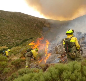 Los incendios forestales arrasan casi 400.000 hectáreas en España en lo que va de 2025
