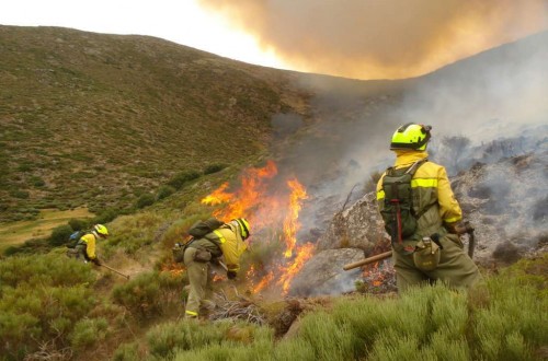 Los incendios forestales arrasan casi 400.000 hectáreas en España en lo que va de 2025
