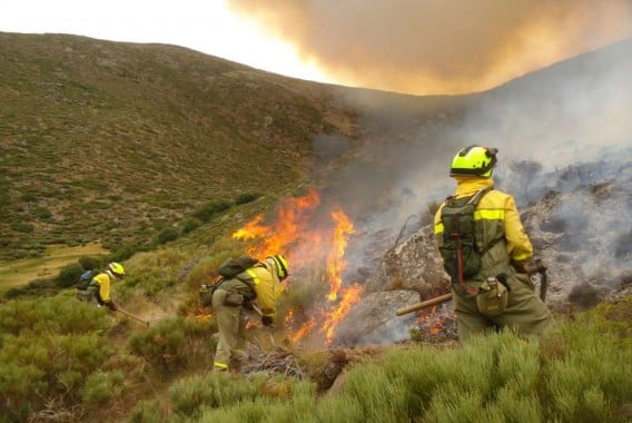 Los incendios forestales arrasan casi 400.000 hectáreas en España en lo que va de 2025