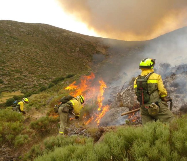 Los incendios forestales arrasan casi 400.000 hectáreas en España en lo que va de 2025