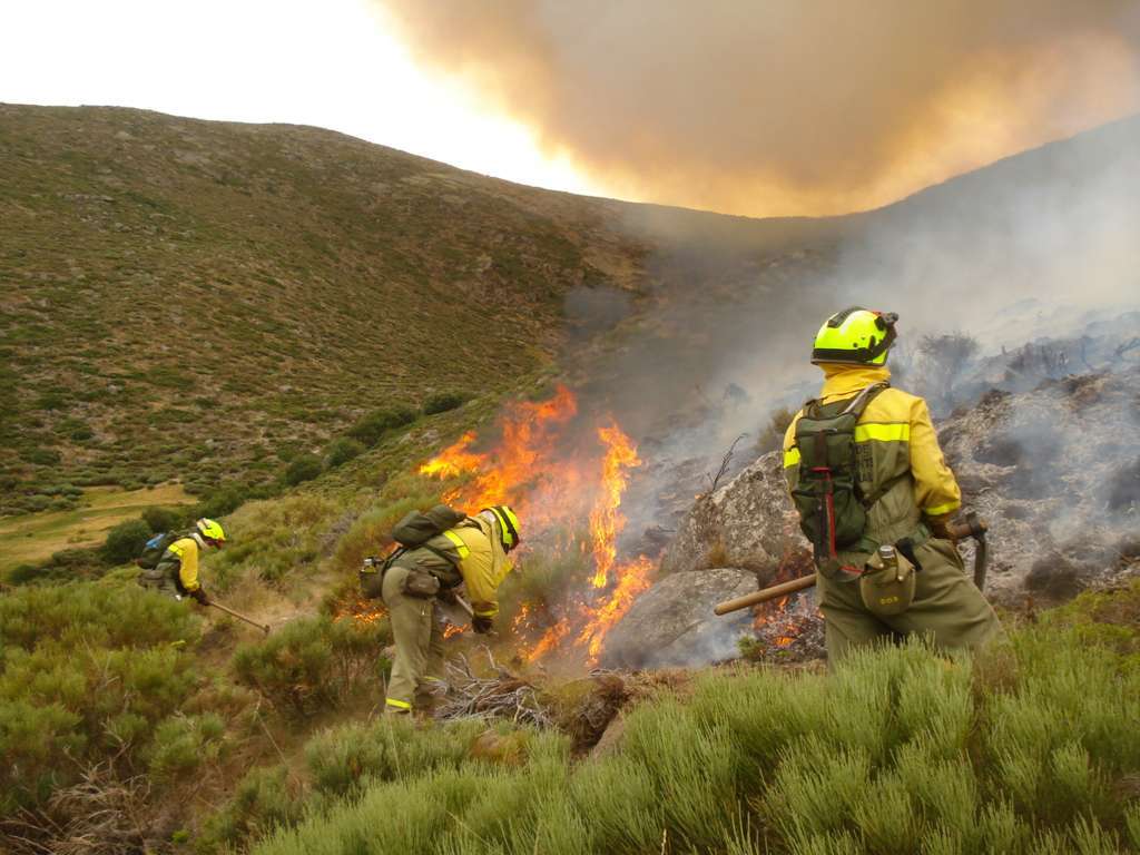 El MITECO estrena competencias forestales con la presentación del dispositivo de lucha contra incendios