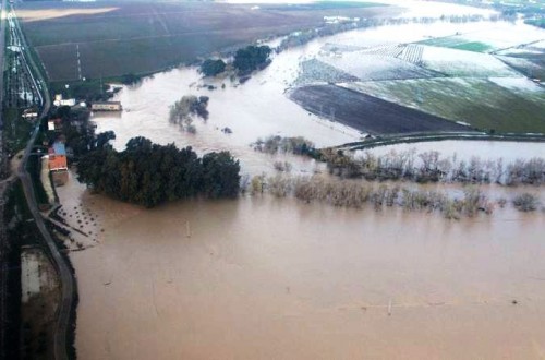 Un juez sentencia a la Junta andaluza a indemnizar a otro agricultor por la riada de 2010