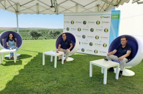 Syngenta presenta Taegro, el nuevo biofungicida para el control preventivo de oídio y botritis