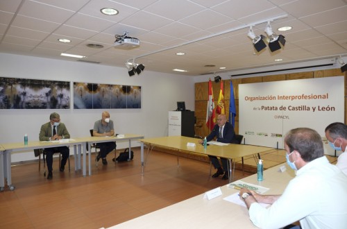 Castilla y León contará por fin con la primera organización interprofesional de la patata en España