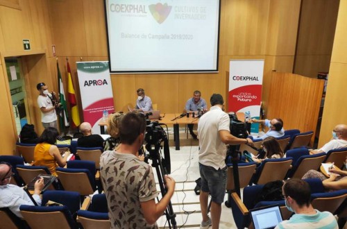 Las exportaciones marroquíes de tomate ya superan a las almerienses, según Coexphal