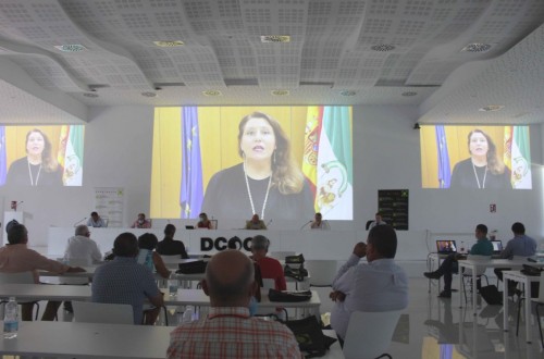 Cooperativas andaluzas pierden un 7% de su facturación global en 2019