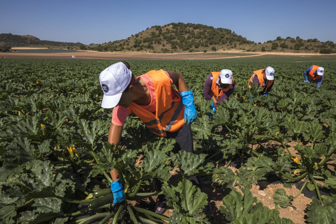 El paro de trabajadores por cuenta ajena en Agricultura subió con fuerza durante junio