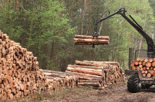 BKT oferta una gama completa de neumáticos para uso forestal