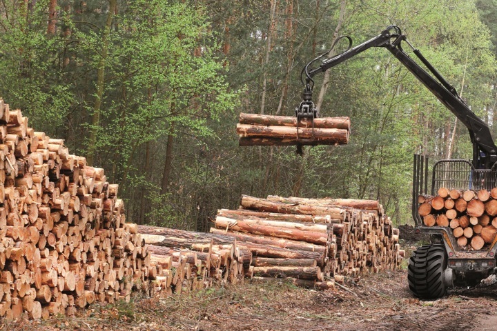 BKT oferta una gama completa de neumáticos para uso forestal