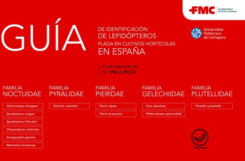 Guía de Identificación de Lepidópteros FMC