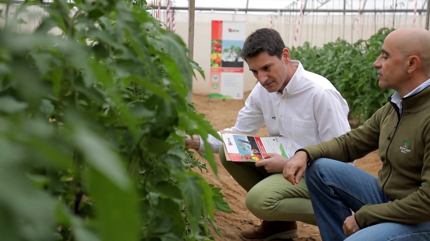 Sipcam Iberia celebra el 25 aniversario de la molécula azadiractin