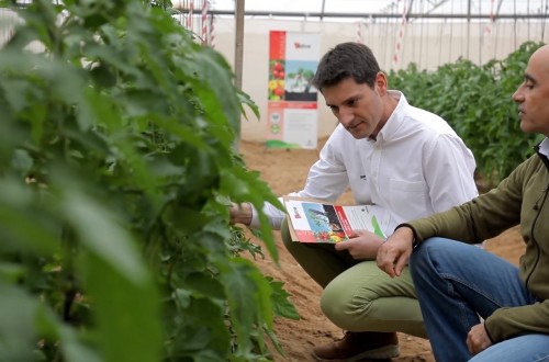 Sipcam Iberia celebra el 25 aniversario de la molécula azadiractin