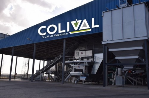 La cooperativa de Valdepeñas Colival, mejor almazara de España 2020