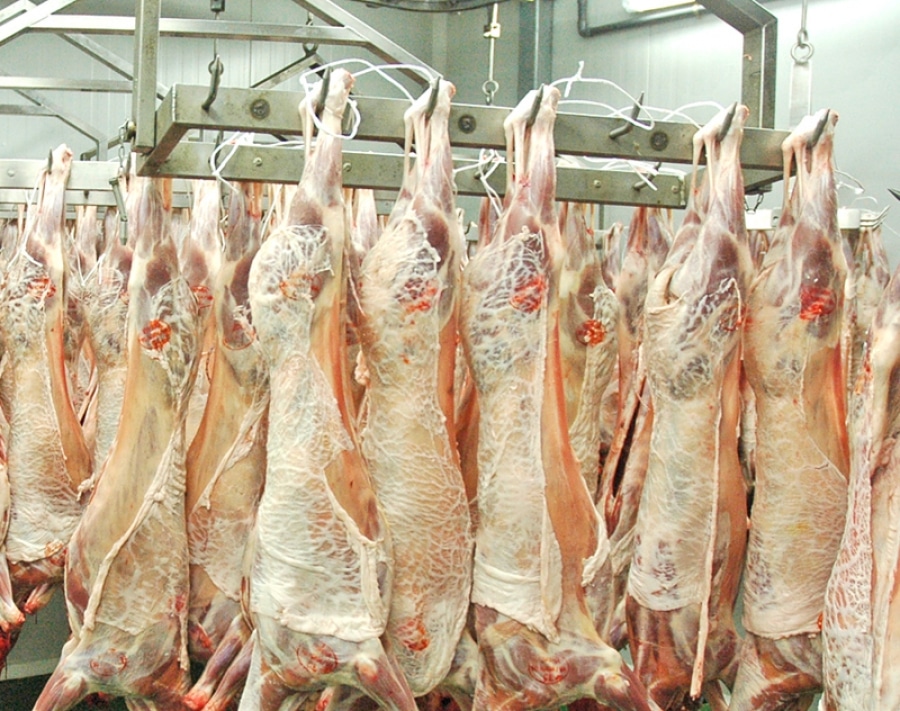 Bruselas suspende las solicitudes de ayuda para almacenar carnes de bovino, ovino y caprino