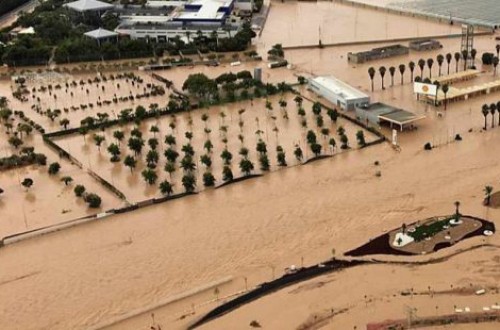 El MAPA concederá 3.000 euros por hectárea a los arroceros de la Albufera afectados por la dana