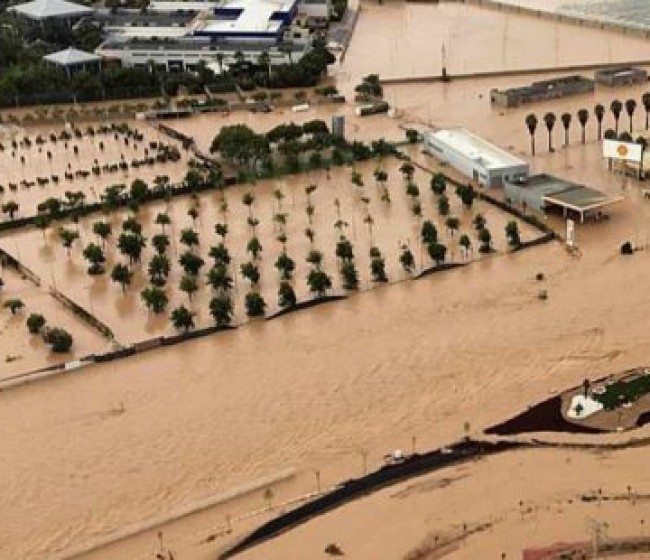 El MAPA concederá 3.000 euros por hectárea a los arroceros de la Albufera afectados por la dana