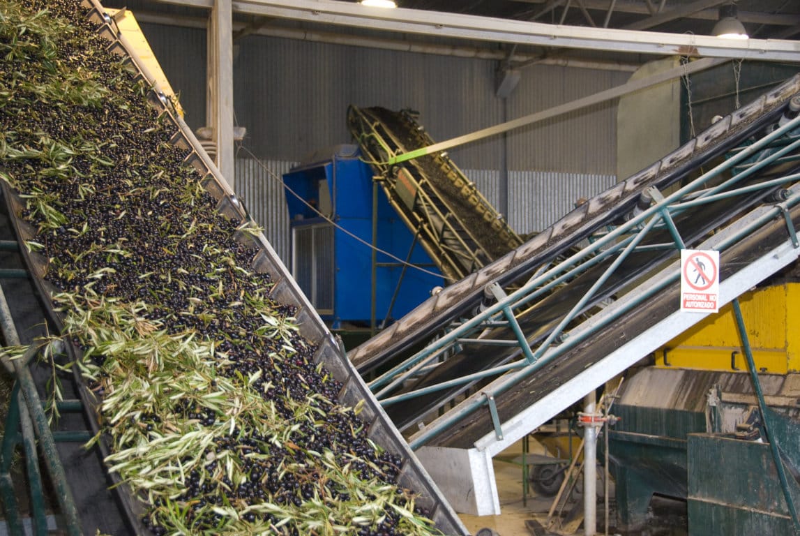 Consulta pública sobre la norma que permitirá contar con un mecanismo de retirada del aceite de oliva
