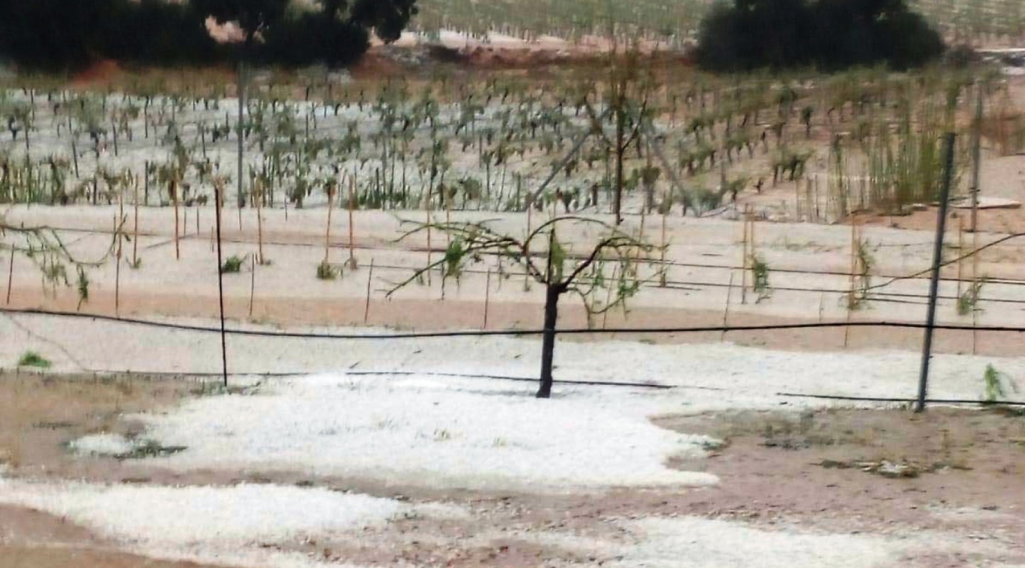 Cajamar crea una línea de 30 M€ para los afectados por el granizo en Utiel-Requena