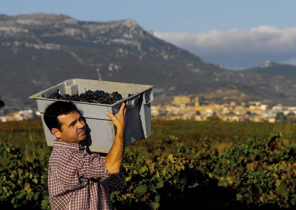 La DOCa Rioja se moviliza para evitar una escisión de la DOP propiciada por el PNV