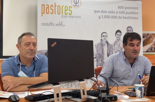 Pastores Grupo Cooperativo logró mantener en 2019 su volumen de comercialización de carne de cordero