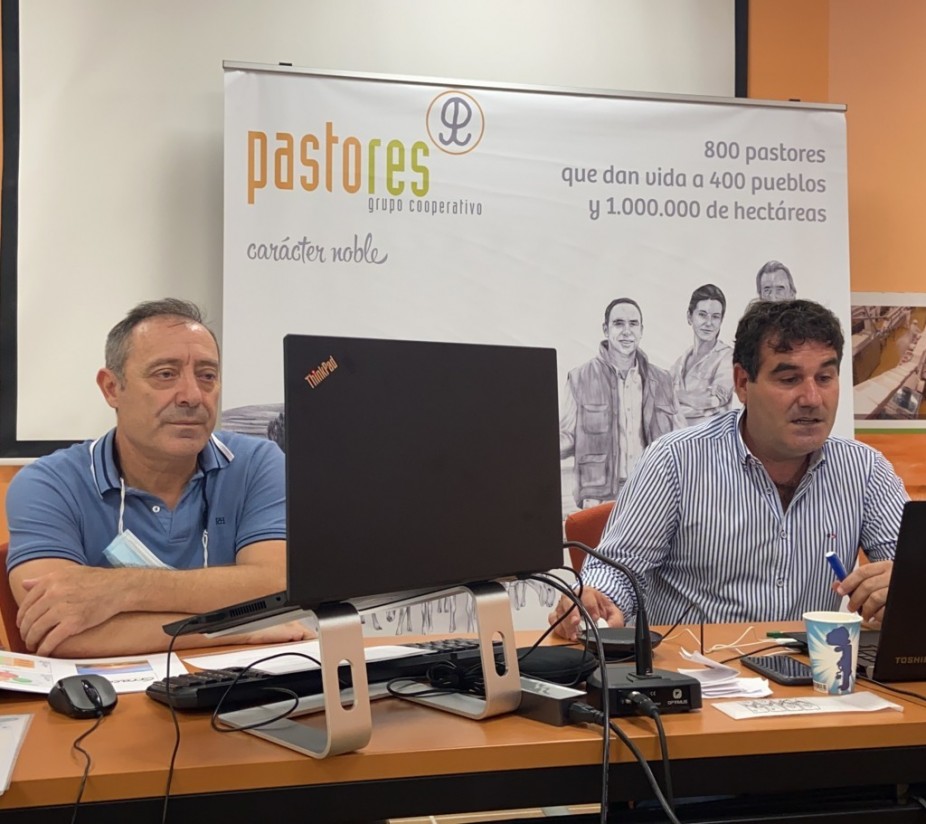 Pastores Grupo Cooperativo logró mantener en 2019 su volumen de comercialización de carne de cordero