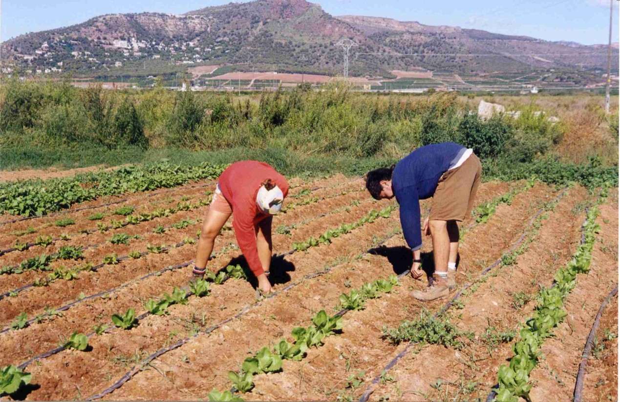 La Agricultura fue la única actividad económica que elevó el paro registrado en julio