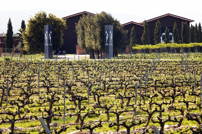 Un centenar de parajes, «Viñedos Singulares» de la DOCa Rioja