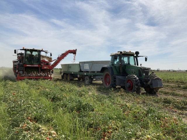 Nuevo monitor de rendimiento para cosechadoras de tomate de industria de Agrosap