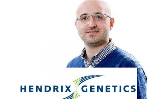 Jose María Requejo, nuevo responsable de Hendrix Genetics Swine para España, Italia y Portugal