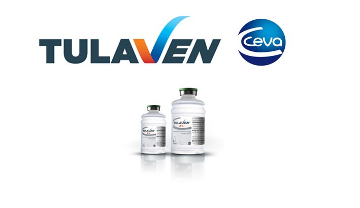 Ceva presenta un nuevo tratamiento para enfermedades respiratorias de porcino