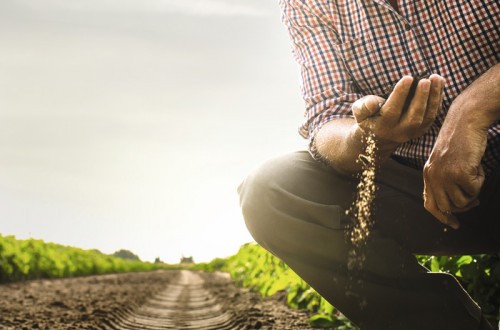 ¿Qué porcentaje de ingresos agrarios son significativos para ser considerado «agricultor genuino» en la futura  PAC?