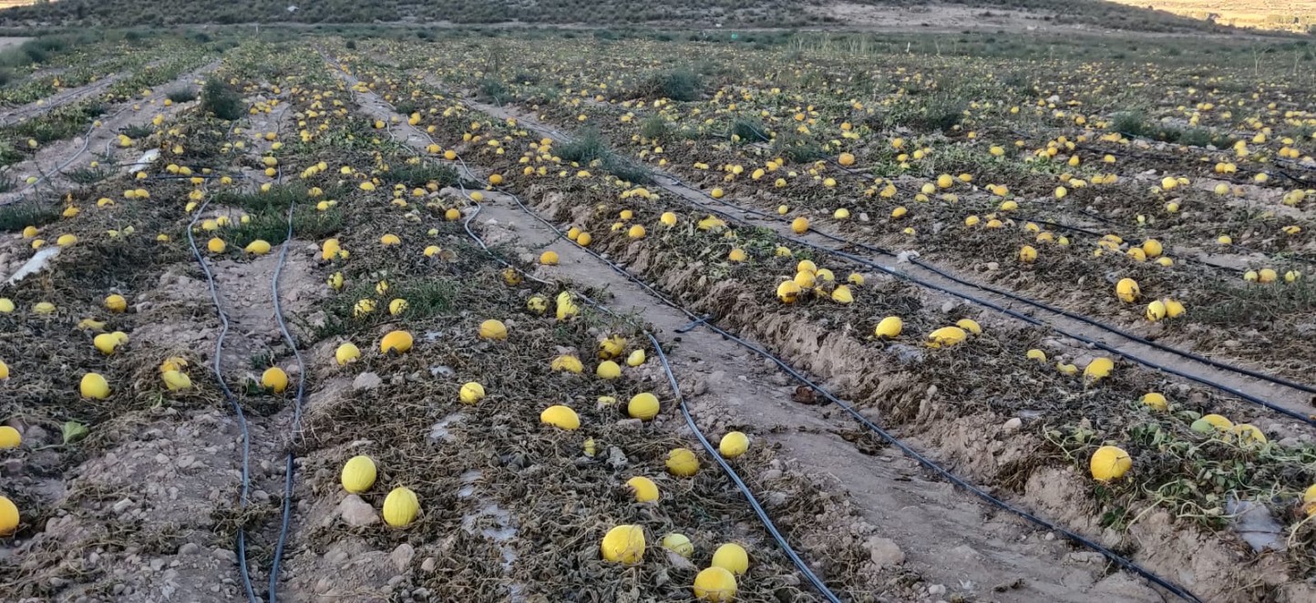 Murcia: denuncian un nuevo despilfarro de recursos hídricos procedentes de acuíferos sobreexplotados