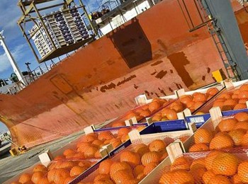 Las importaciones agroalimentarias de la UE alcanzan los 16.000 millones en enero, un 19% más que en 2024