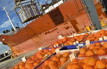 Las importaciones agroalimentarias de la UE alcanzan los 16.000 millones en enero, un 19% más que en 2024