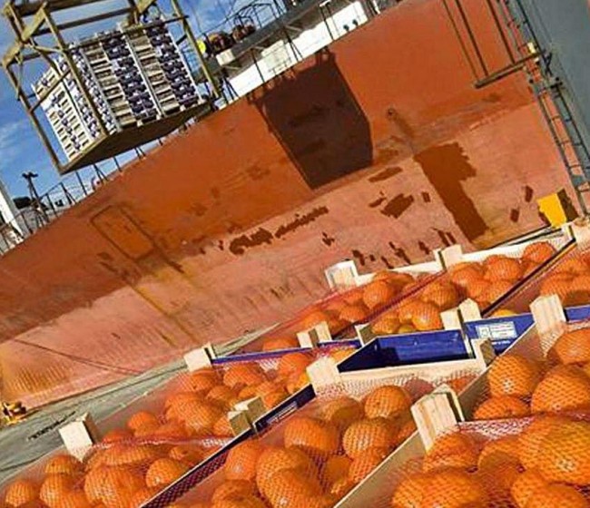 Las importaciones hortofrutícolas españolas crecen un 14% en enero con Marruecos como principal proveedor